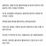 나무늘보 이미지