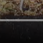 환승연애 기준 광고 요금제 광고 빈도 이미지