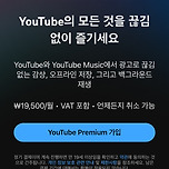 유튜브 프리미엄 가격 근황 이미지