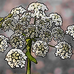 국정원 제 611회 추리퀴즈 - [ 너의 이름은 ] 이미지