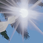 진은영, 청혼 이미지