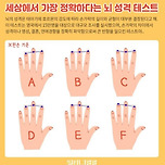 세상에서 가장 정확하다는 뇌성격 테스트 이미지
