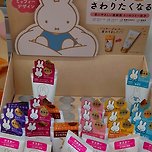 현재 논란 중인 미피 사진 이미지