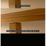 호주 시드니에서 워홀하던 여성이 기겁하며 탈출한 이유 이미지