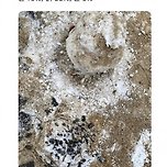 대구식 눈사람vs부산식 눈사람 이미지