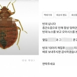 견딜 수 없는 층간소음… 보복용 빈대 구매글도 등장 이미지