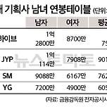 금감원 피셜 대형 4대 기획사(하이브, JYP, SM, YG) 연봉표 이미지