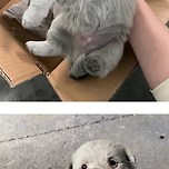 중소기업갤에 올라온 중소기업 상황; 이미지