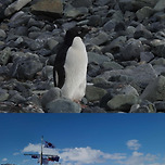 남극 근무환경.blind 이미지