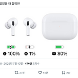 에어팟 열었을 때 절망편 이미지