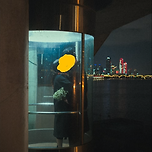 엘리베이터 붙잡아두고 웨딩촬영 한다는 장소 이미지