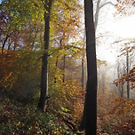 City Park in NRW (germany) 이미지
