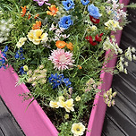 H&amp;M 앞 테라스 조경 이미지