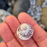 우리동네 숨은 명소, 알작지 이미지