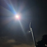 저녁 식사하고 아내와 함께 산책 루틴입니다 이미지