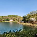 공원에 사람들이 넘친다 이미지