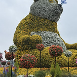 샤부작샤부작 고양꽃박람회 산책 이미지