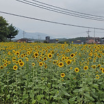 퇴근길에 한 풍경 이미지