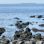 동네 한바퀴 이미지