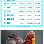 체지방 1kg 빼는데 걸리는 시간 이미지