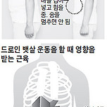 배에 힘만 줘도 뱃살 빠진다 이미지