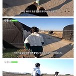 기안84가 러닝 초보들에게 제시하는 달리기 훈련법.jpg 이미지