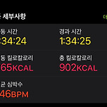 운동도 부질없다 이미지