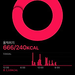 어제 오른 층수 46 이미지