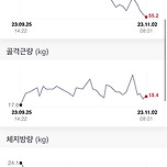 한달동안 체지방만 4kg뺀 운동,식단 이미지