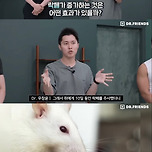 의사 유튜버가 해본 4분만에 뱃살 빠지고 식욕 떨어지는 운동 이미지