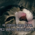 [추천] 전시/팝업/행사 정보 테이블 - HERE WE GO 이미지