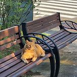 조깅하다가 찰칵! 이미지