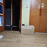 베트맨~ 이미지