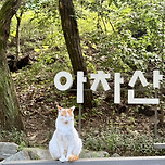 아차산에서 만난 고양이🙀 이미지