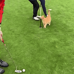 Helping.gif 이미지