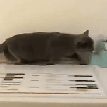 도킹.gif 이미지