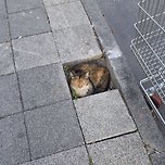 아늑한 보금자리 이미지