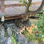 조깅하다가 찰칵 이미지