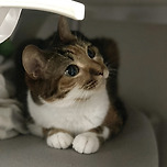 호기심 가득한 눈빛 이미지