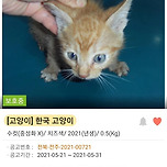 세모가 동그라미가 될 수 있나요? 이미지