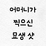 어머니가 찍으신 묘생샷 이미지