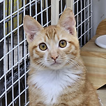 노는게 제일 좋아~😸 이미지