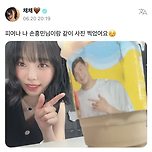 망상증 테이블 주인님 자리 줘야함 이미지