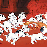 인지도는 굉장히 높은데 실제로 보기는 어려운 개 이미지