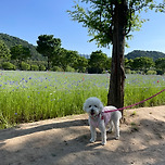 태화강국가정원 이미지
