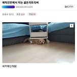 애착선반에서 자는 골든리트리버 이미지