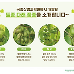 토종다래를 개량해서 와인까지 생산해낸 국립산림과학원 이미지