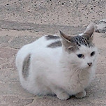 앞머리 너무 귀엽죵 이미지