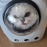 우주선 타고 이미지