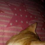 코코낸내 🥱 이미지